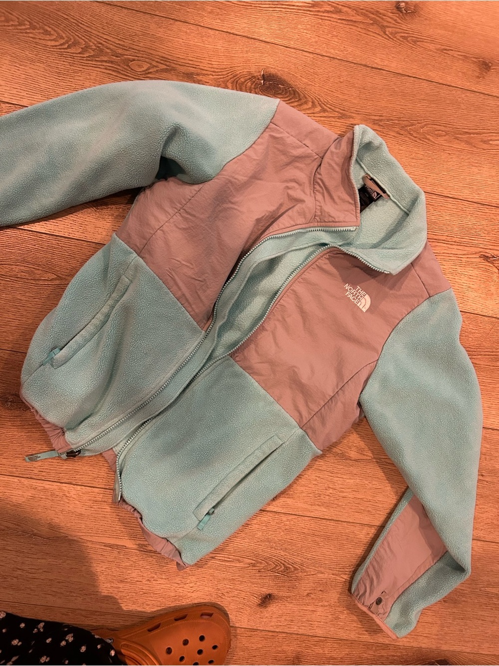 The North Face Girls' Teal and Taupe Denali-Style Fleece Jacket